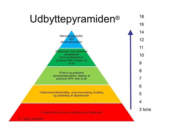 Udbyttepyramiden